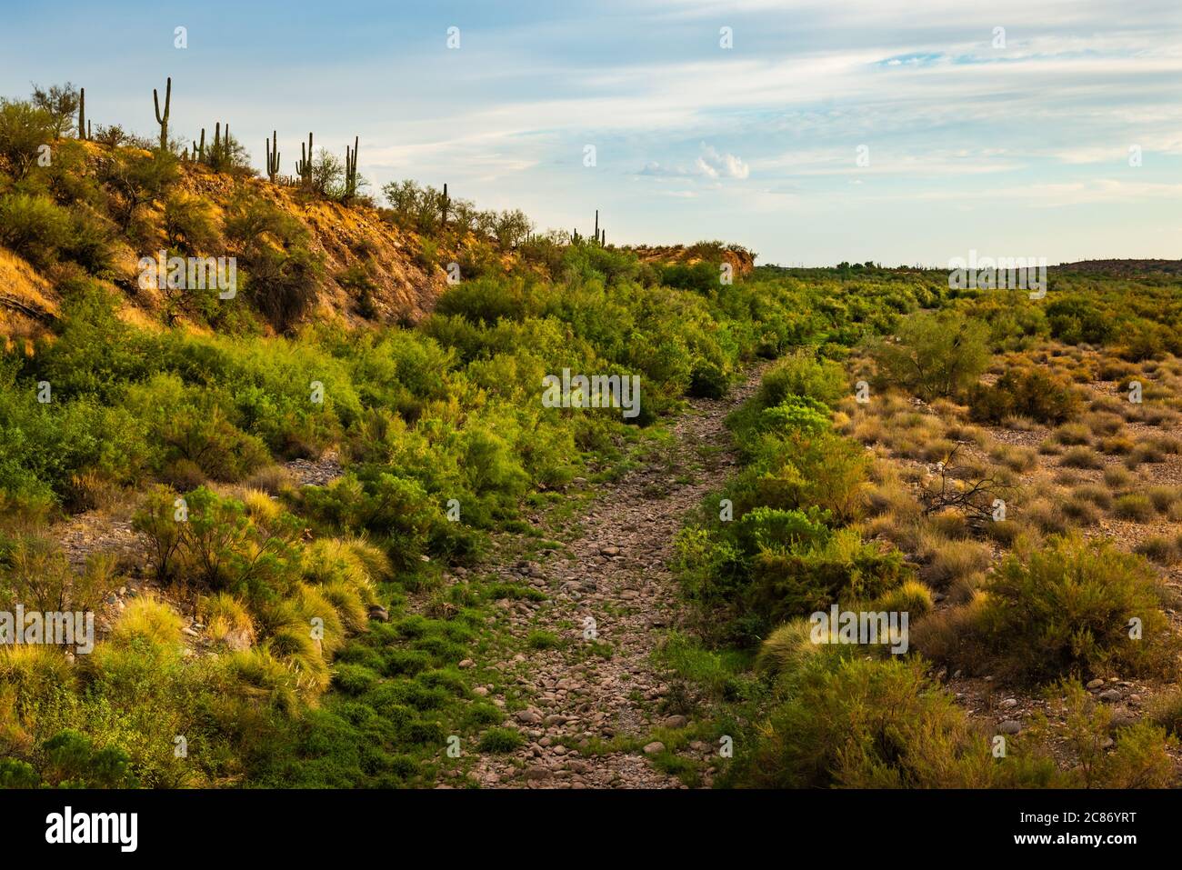 Eine Trockenwäsche und unerschlockenes Land in der Nähe von Peoria und Phoenix Arizona. Stockfoto