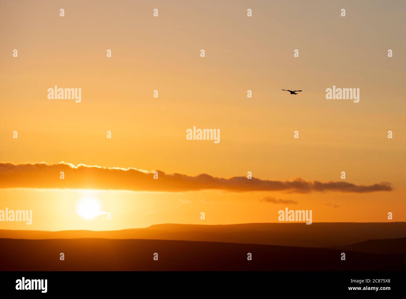 Ruhiger Sonnenuntergang über dem Peak District National Park Stockfoto