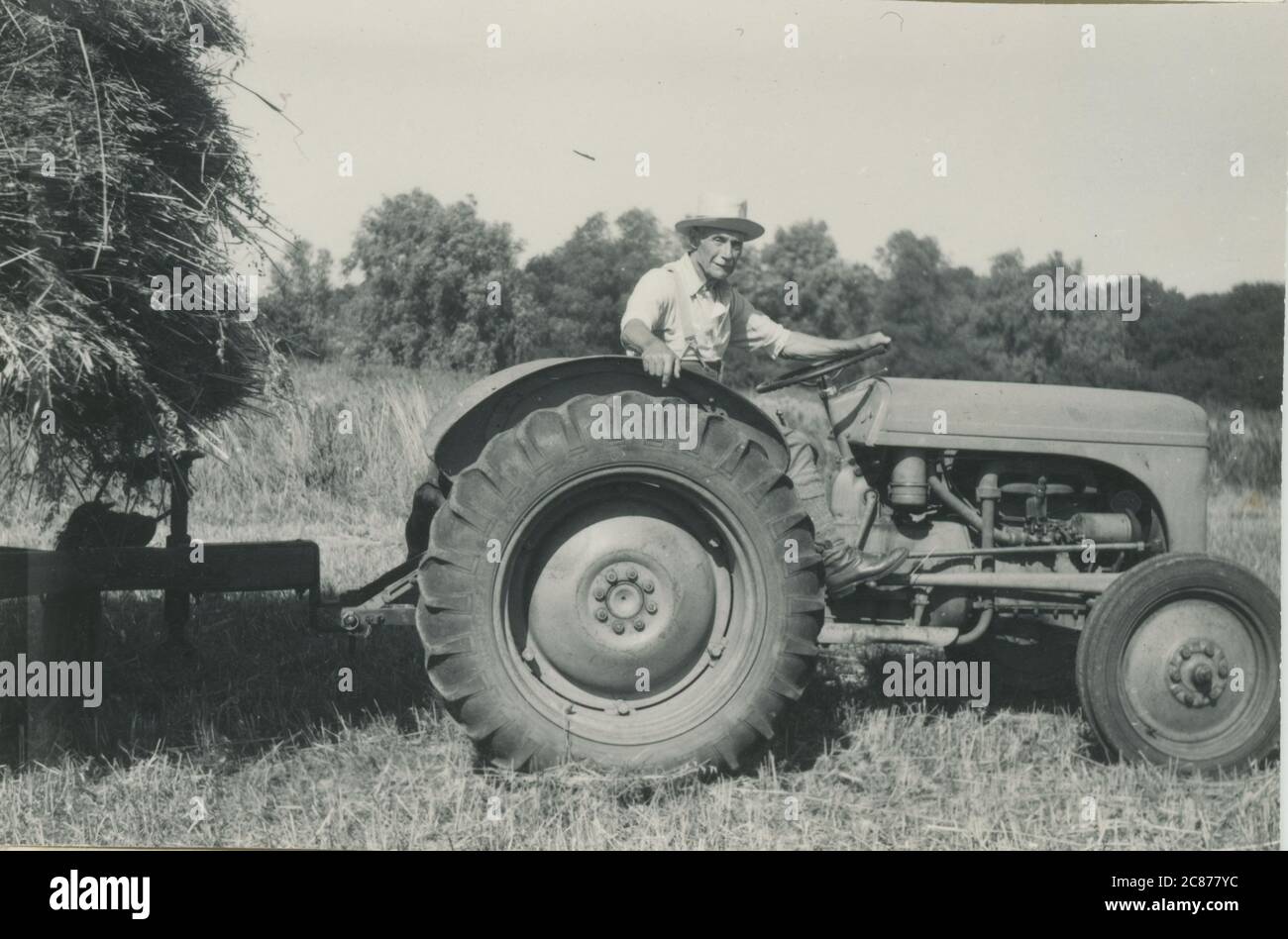 Fordson Vintage Tractor und Haycart Stockfoto
