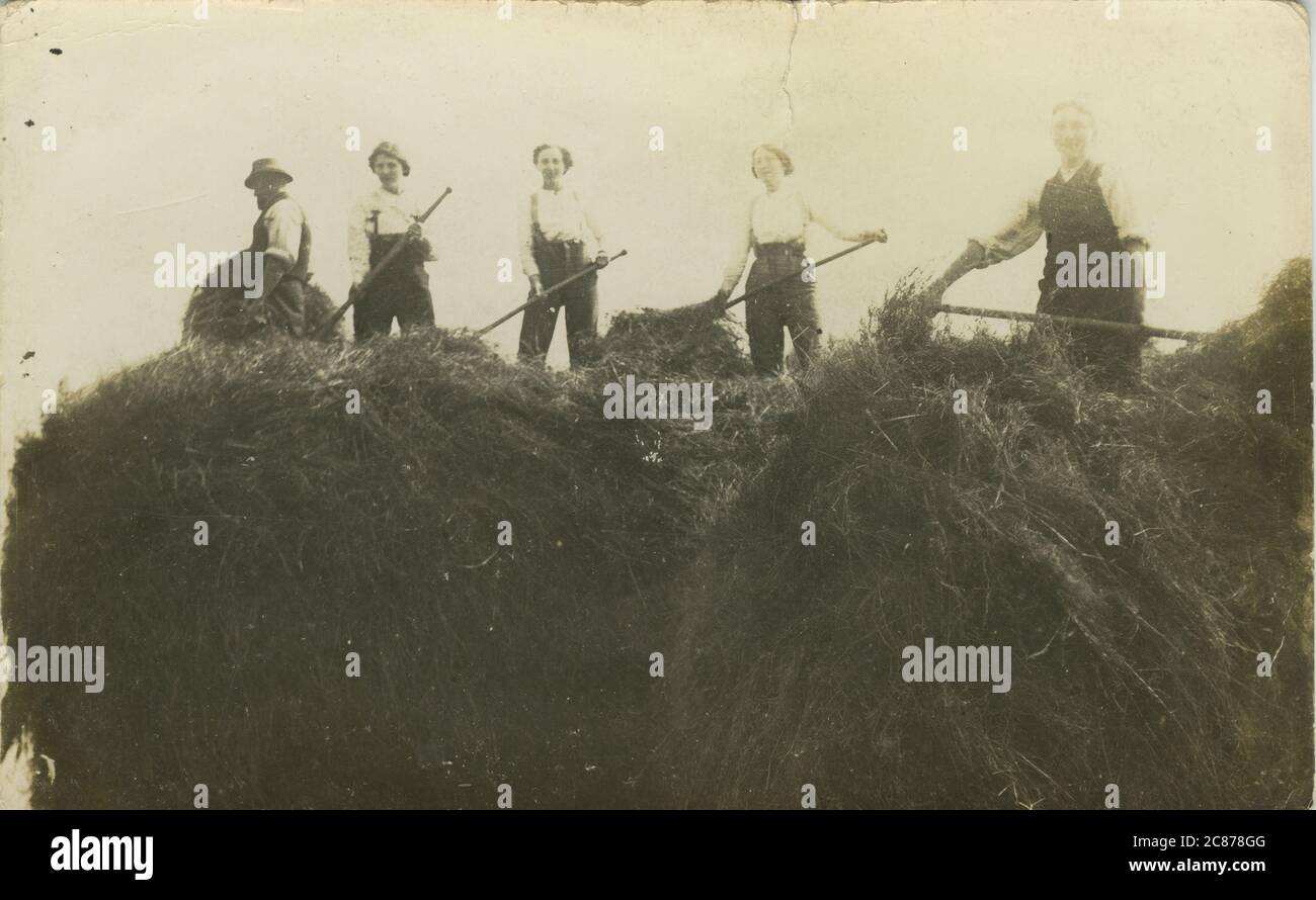 WW2. Landarmee - Haymaking Stockfoto