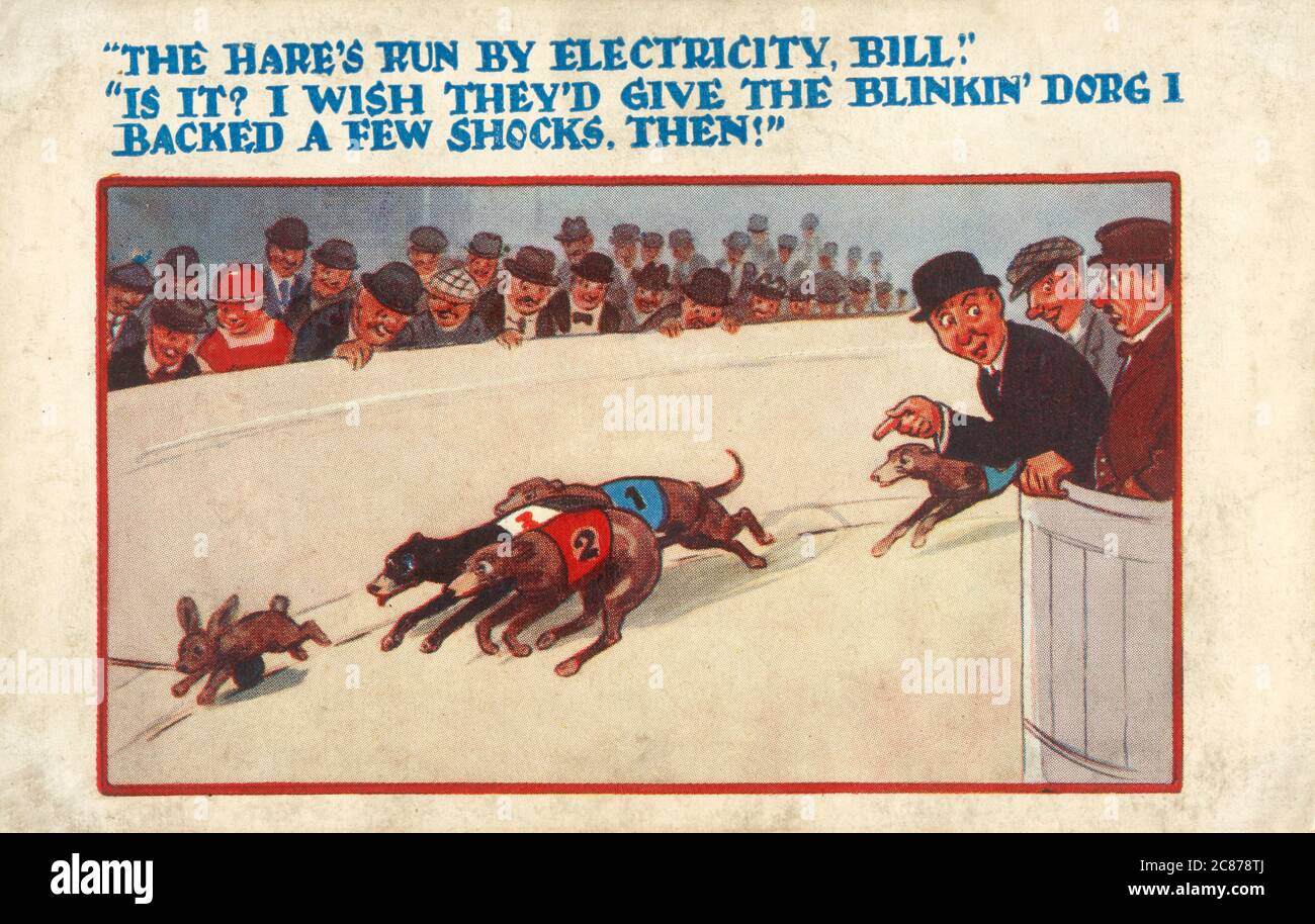 Greyhound Racing Dog Comic Stockfotos Und Bilder Kaufen Alamy