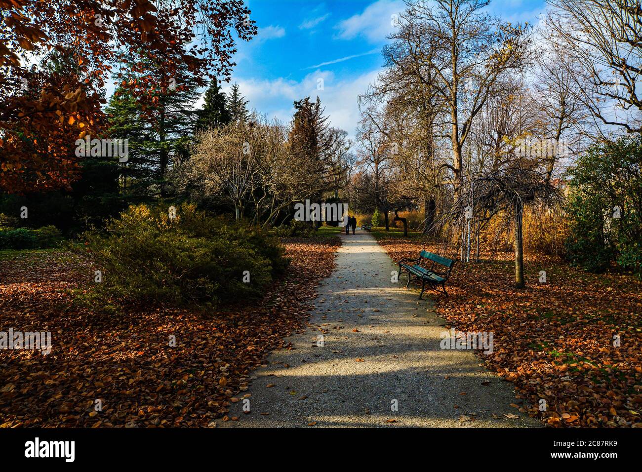 Schlossgarten Schönbrunn Stockfoto