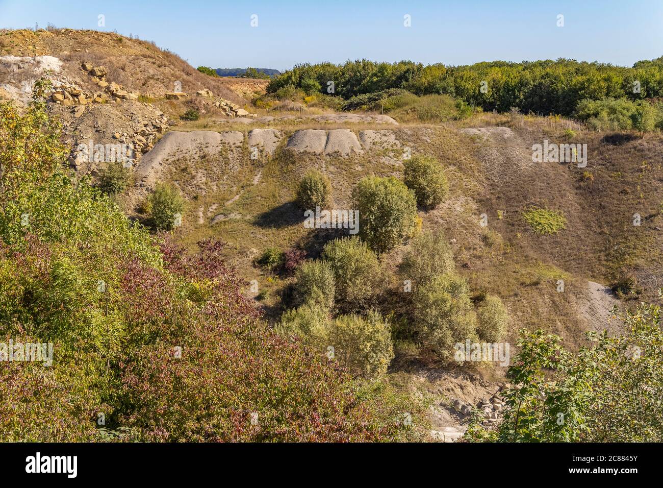 Low-Angle-Ansicht eines überwucherten ariden Beute Haufen im Sommer Stockfoto