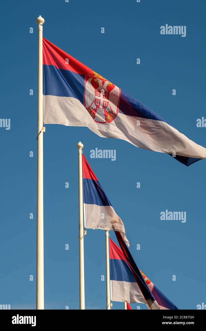 Flaggen der Republik Serbien gegen den klaren blauen Himmel Stockfoto