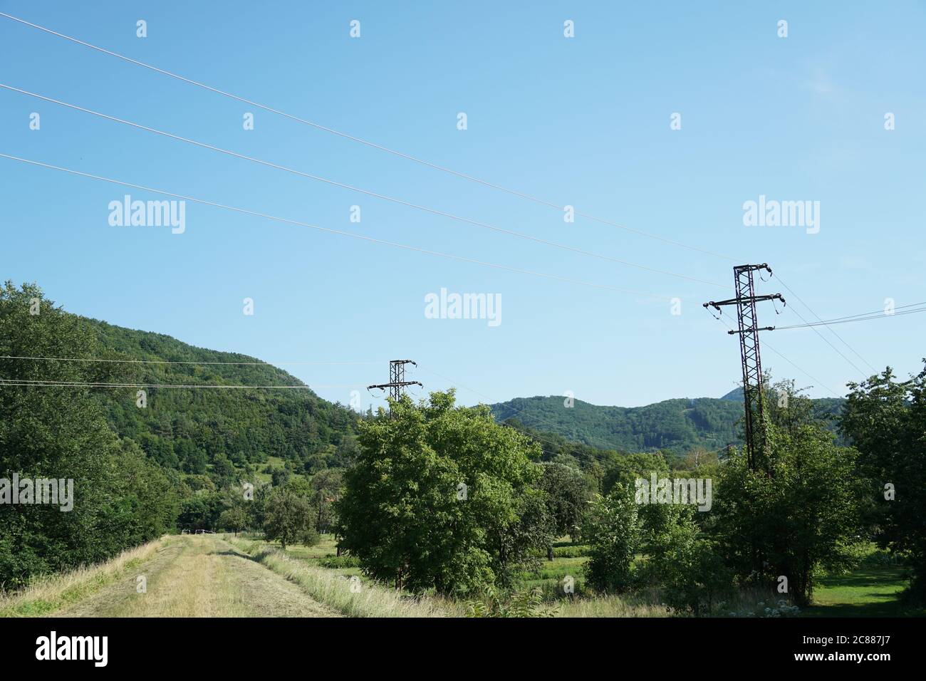 Ein Fußweg zwischen reicher Vegetation. Region Zarnovica in der Mittelslowakei. Die Landschaft wird von elektrischen Drähten und Masten oder Säulen durchzogen. Stockfoto