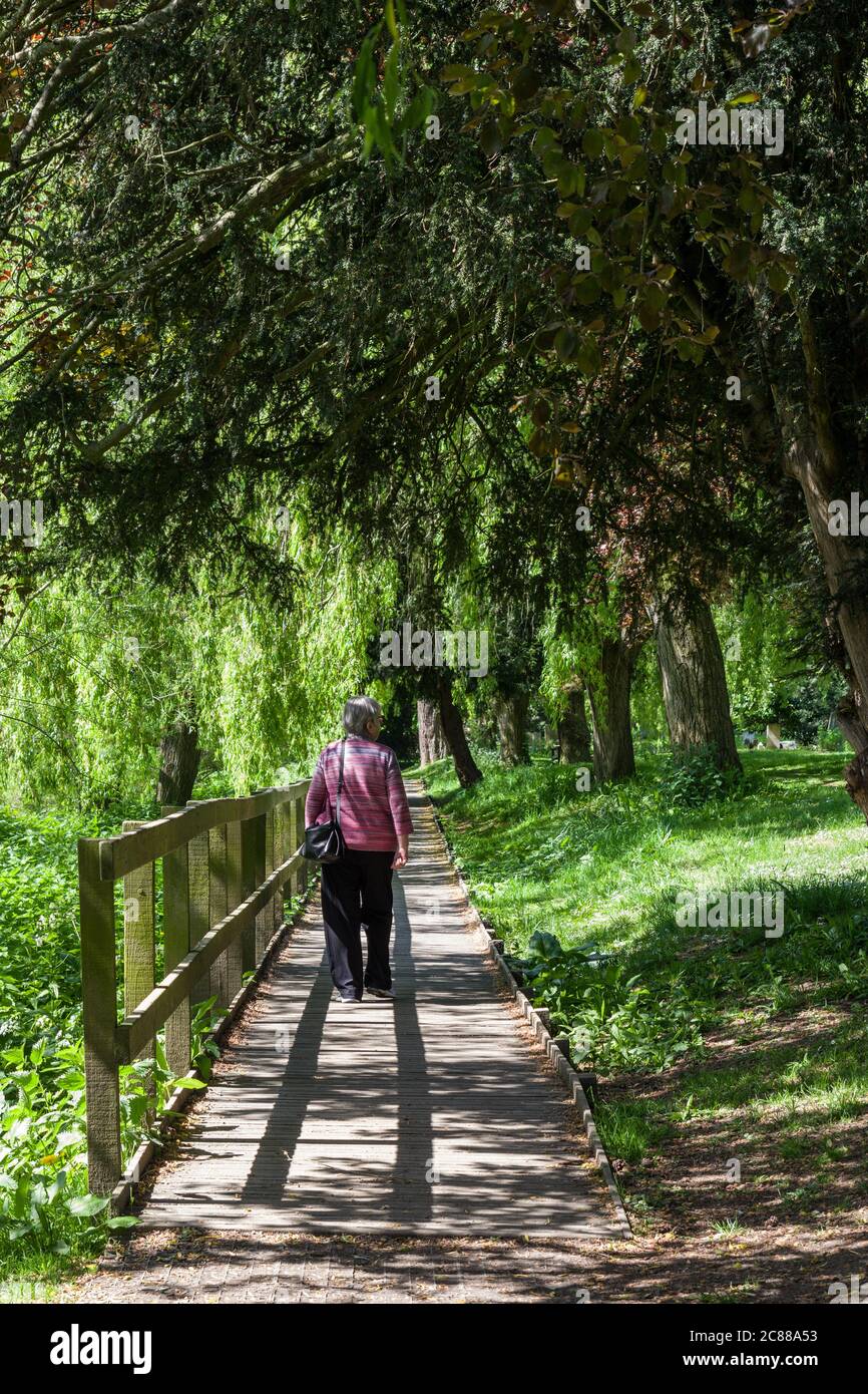 Rückansicht einer älteren Frau, die durch das strahlende Sonnenlicht entlang einer Holzpromenade geht, Großbritannien Stockfoto