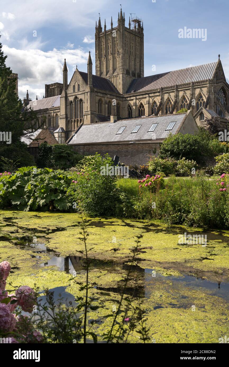 Blick auf die Kathedrale von Wells aus dem Bishop's Garden Stockfoto