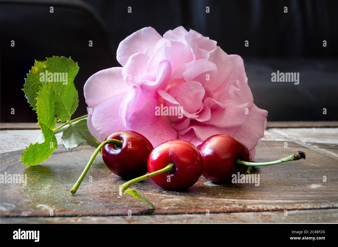 Nahaufnahme von drei roten Kirschen mit einer rosa Rose und grünen Blättern auf einer braunen Oberfläche. Makrofoto, dunkler Hintergrund, Illustration Stockfoto