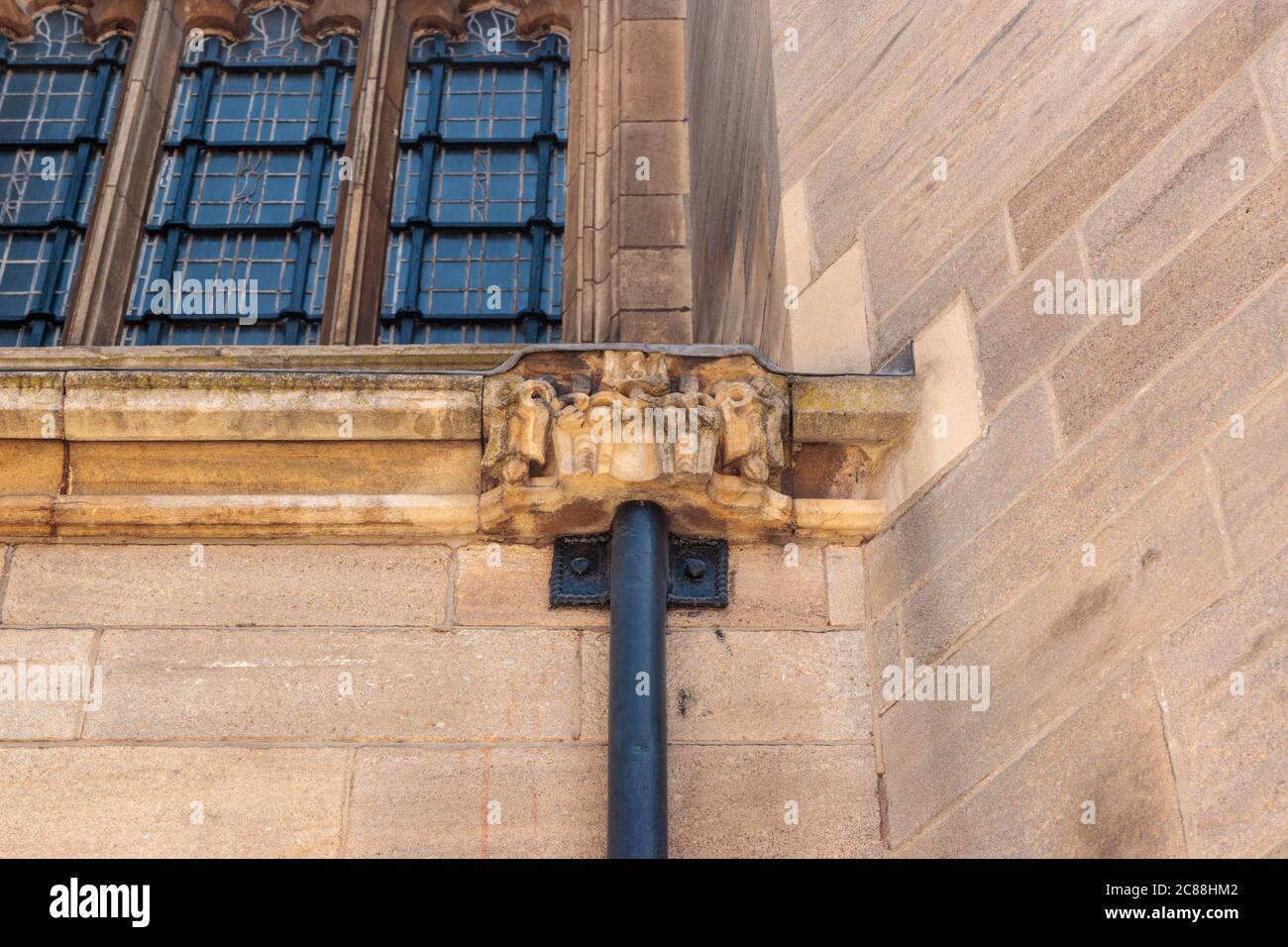 Blick auf Eulenskulpturen auf Fallpfeifen, Leeds Cathedral Stockfoto