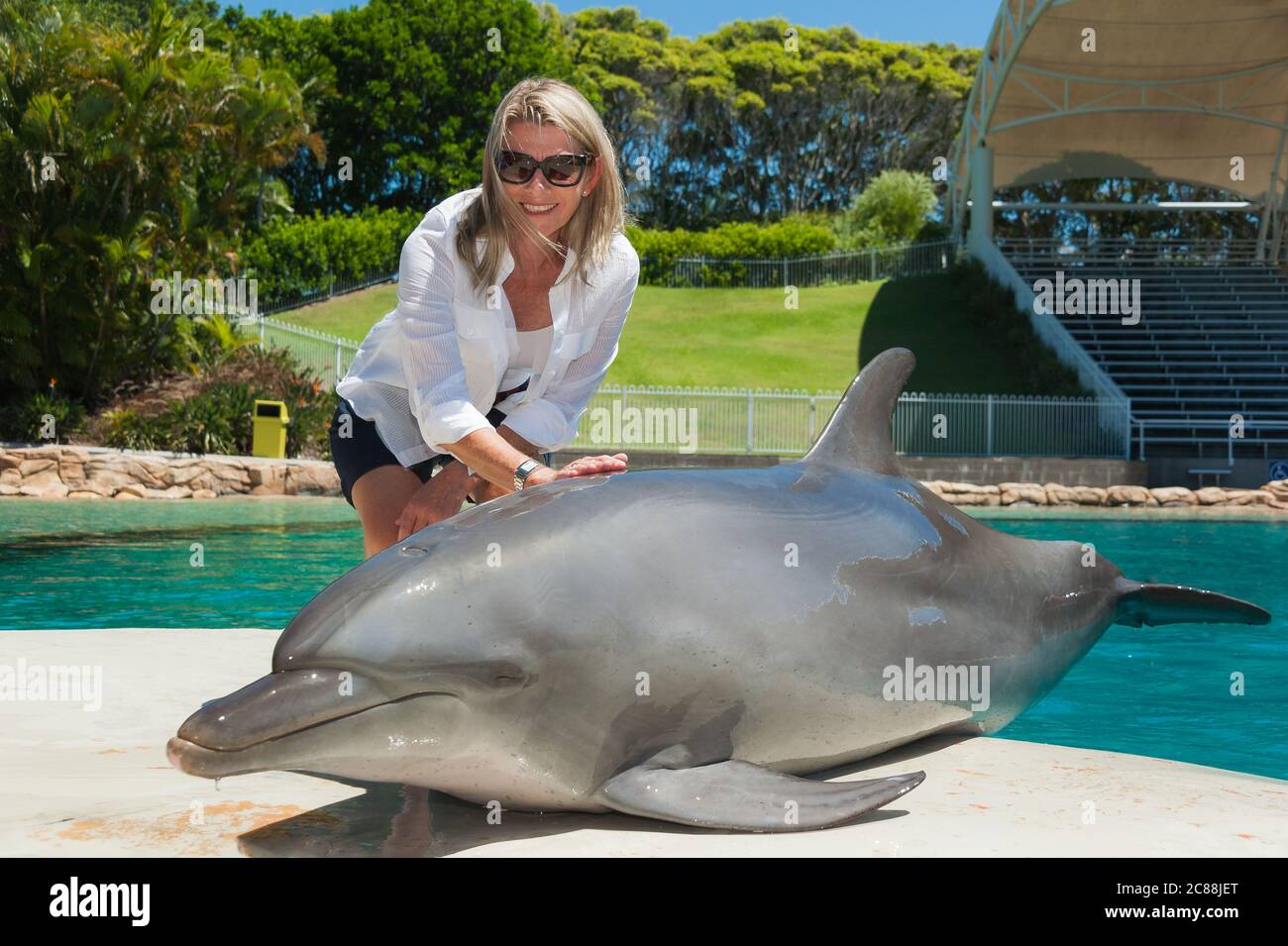 Eine weibliche Touristin, die einen gequatschen Delfin am Delfinvorzeige-Pool in Sea World an der Gold Coast, Queensland Australien, pattet. Stockfoto