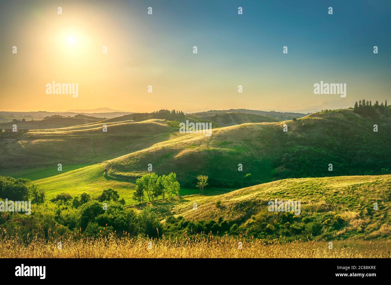 Certaldo canonica Park bei Sonnenuntergang. Sanfte Hügel Landschaft und Bäume. Florenz, Toskana, Italien Stockfoto