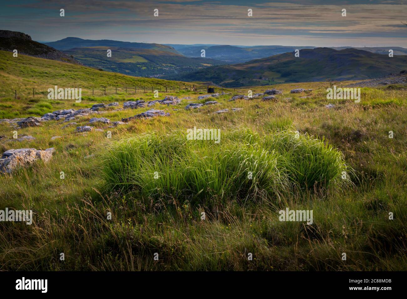 Ffynnon Du Nature Reserve, Penwyllt (wildes Vorgewende) Stockfoto