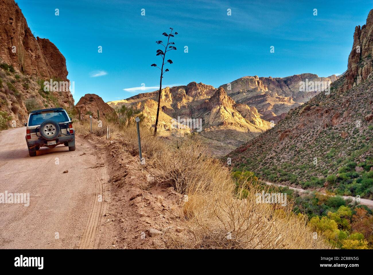 Apache Trail am Fish Creek Canyon in Superstition Mountains mit Horse Mesa in der Ferne, Arizona, USA Stockfoto