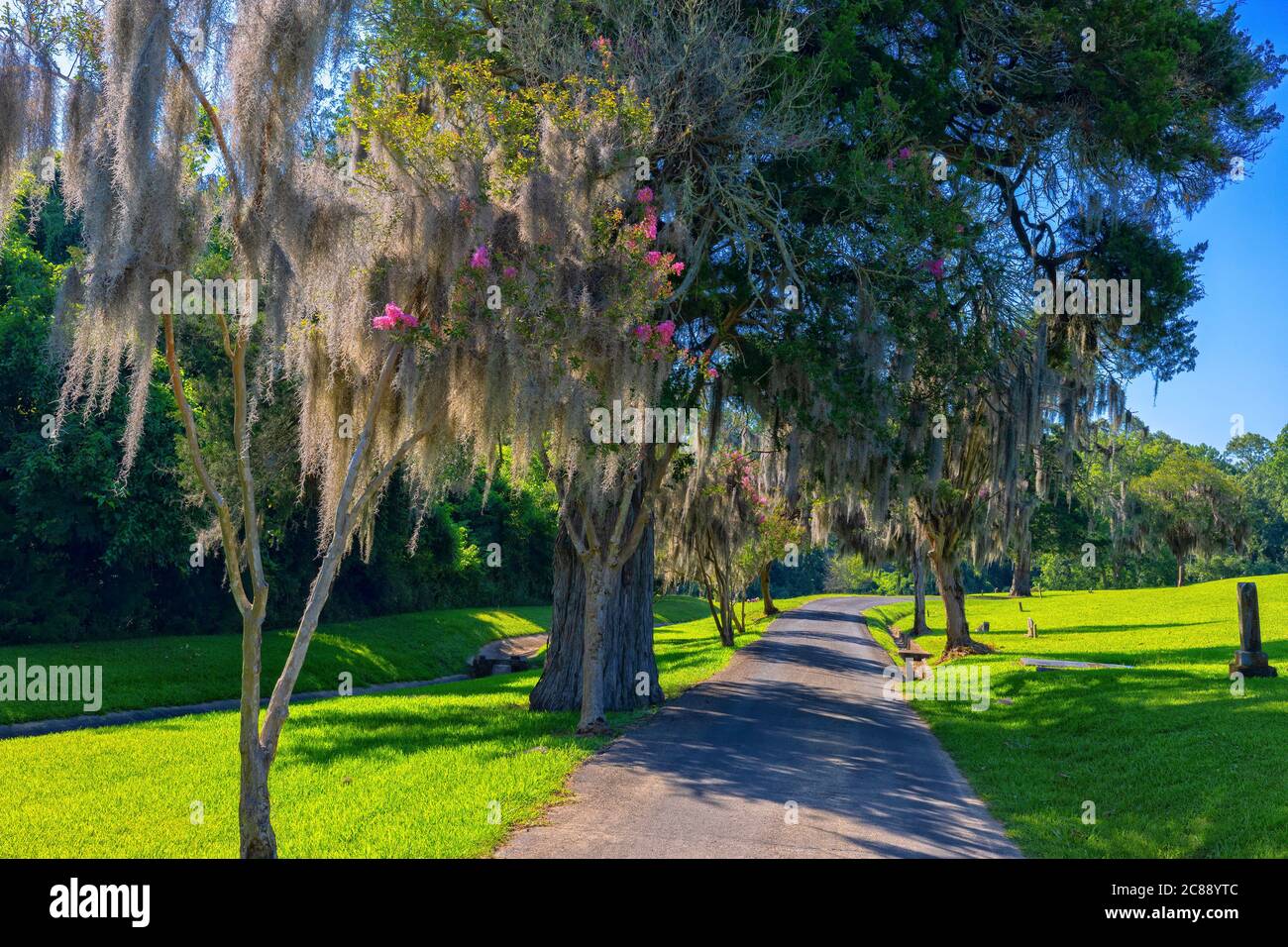 Natchez, Mississippi, USA - 19. Juni 2020: Gründung des Friedhofs der Stadt Natchez im Jahr 1822, voller Geschichte und Größe der Bewohner dieser Stadt. Stockfoto