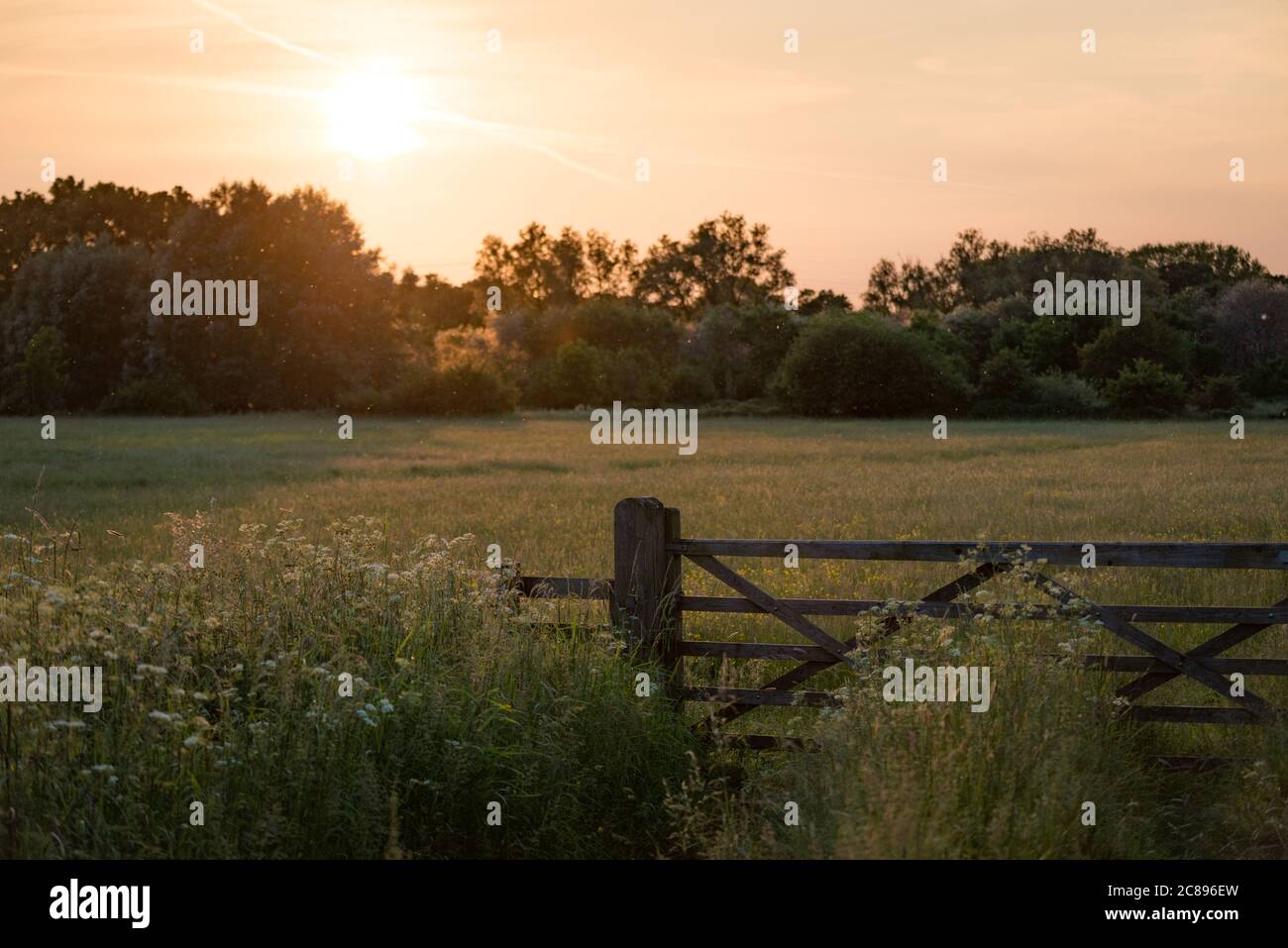 Ein Zaun und Tor in Cornmill Meadow, River Lee Country Park, Waltham Abbey, Essex Stockfoto