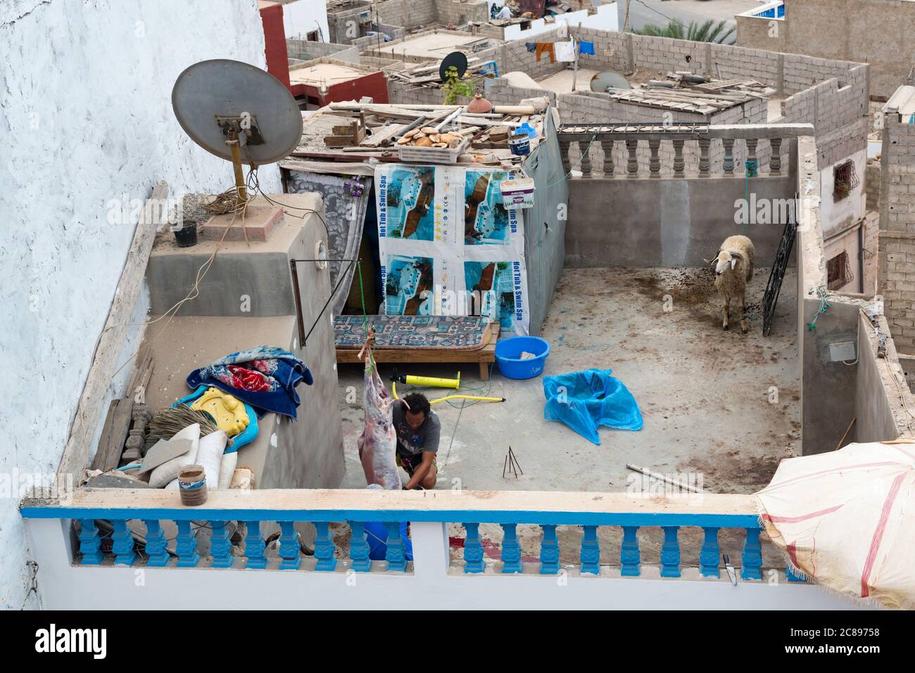 Schlachtung der Schafe im Vorfeld der traditionellen Eid-al-Adha-Feierlichkeiten in Taghazout, Souss, Marokko Stockfoto