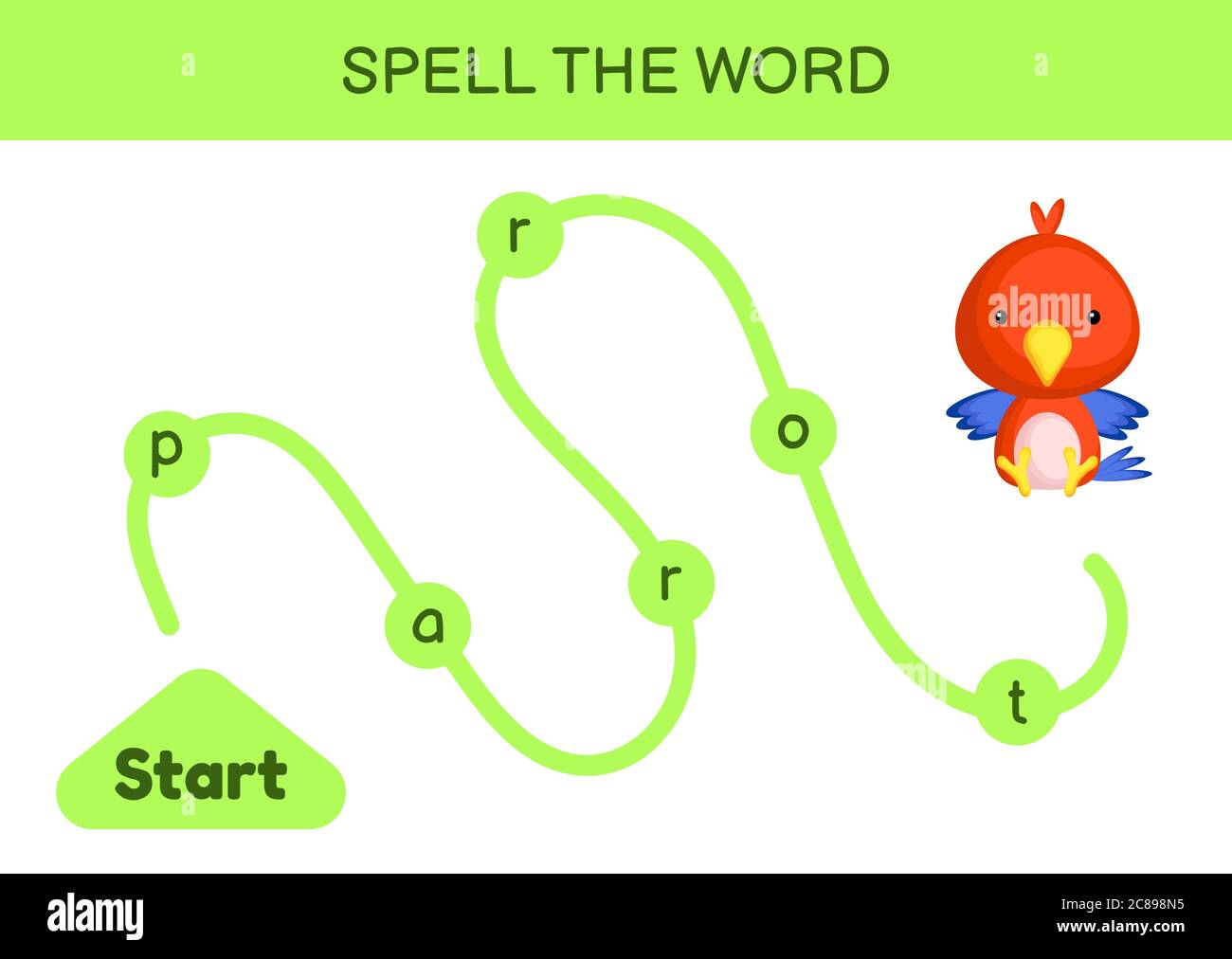Labyrinth für Kinder. Rechtschreibwortschablone. Lernen Sie Wort Papagei lesen, druckbare Arbeitsblatt. Aktivitätsseite für die englische Sprache. Stock Vektor