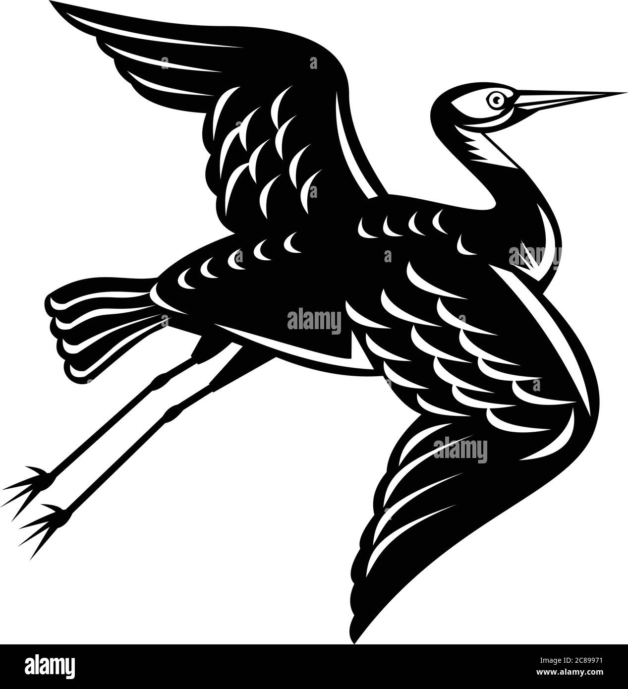 Retro Holzschnitt-Illustration eines Weißstirnreiher Egretta novaehollandiae, Weißstirnreiher, Graureiher oder Blaukran, ein gewöhnlicher Vogel in Austr Stock Vektor