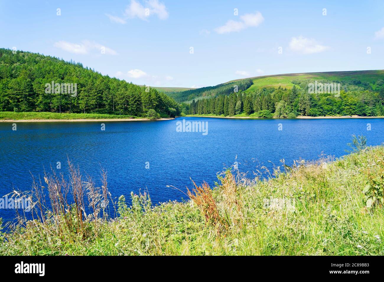 Stehen an den Ufern des Derwent Reservoir Blick über zu einem kleinen Einlass an einem trüben Sommertag Stockfoto