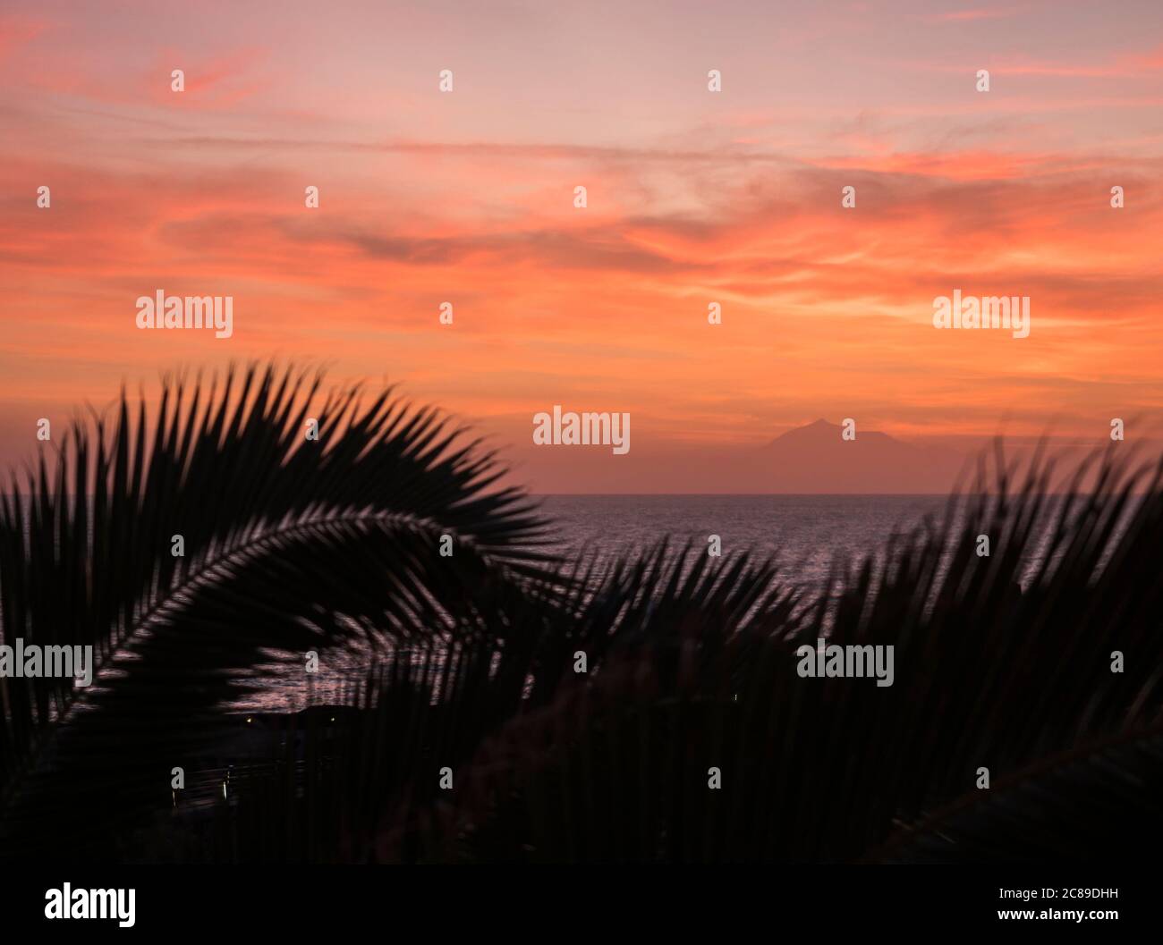 Schöner orangeroter Sonnenaufgang über dem ruhigen Meer mit Silhouette aus Palmenblättern und dem Vulkan Pico del Teide. Weicher Fokus auf Horizont. La Palma, Kanarische Inseln Stockfoto