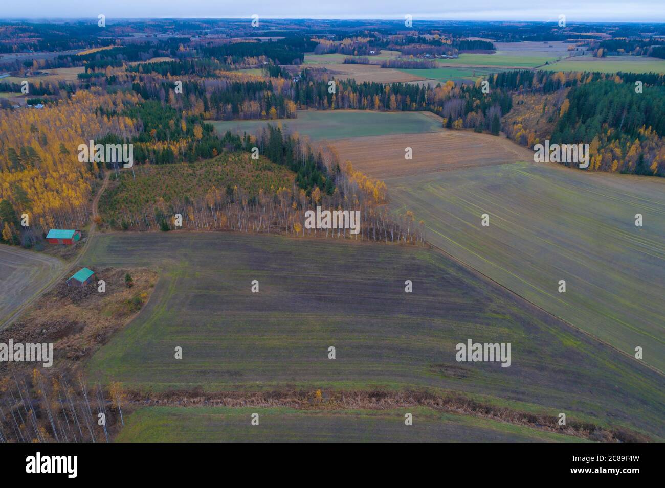 Über die ländlichen Weiten des Herbstes Finnland Stockfoto