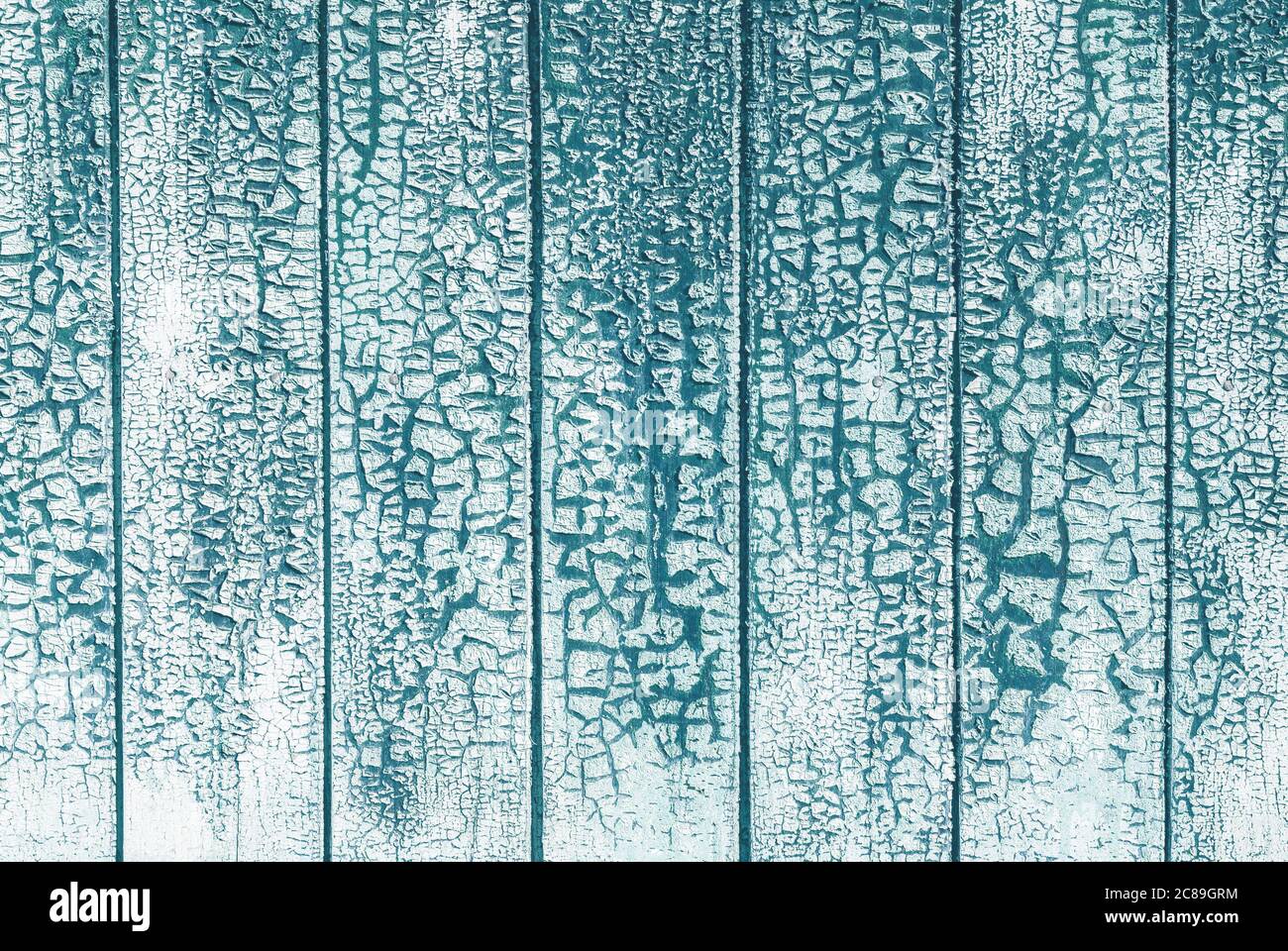 Strukturierter Hintergrund von gesprungenen weißen Farbe auf blaugrünen Holzplanken Stockfoto