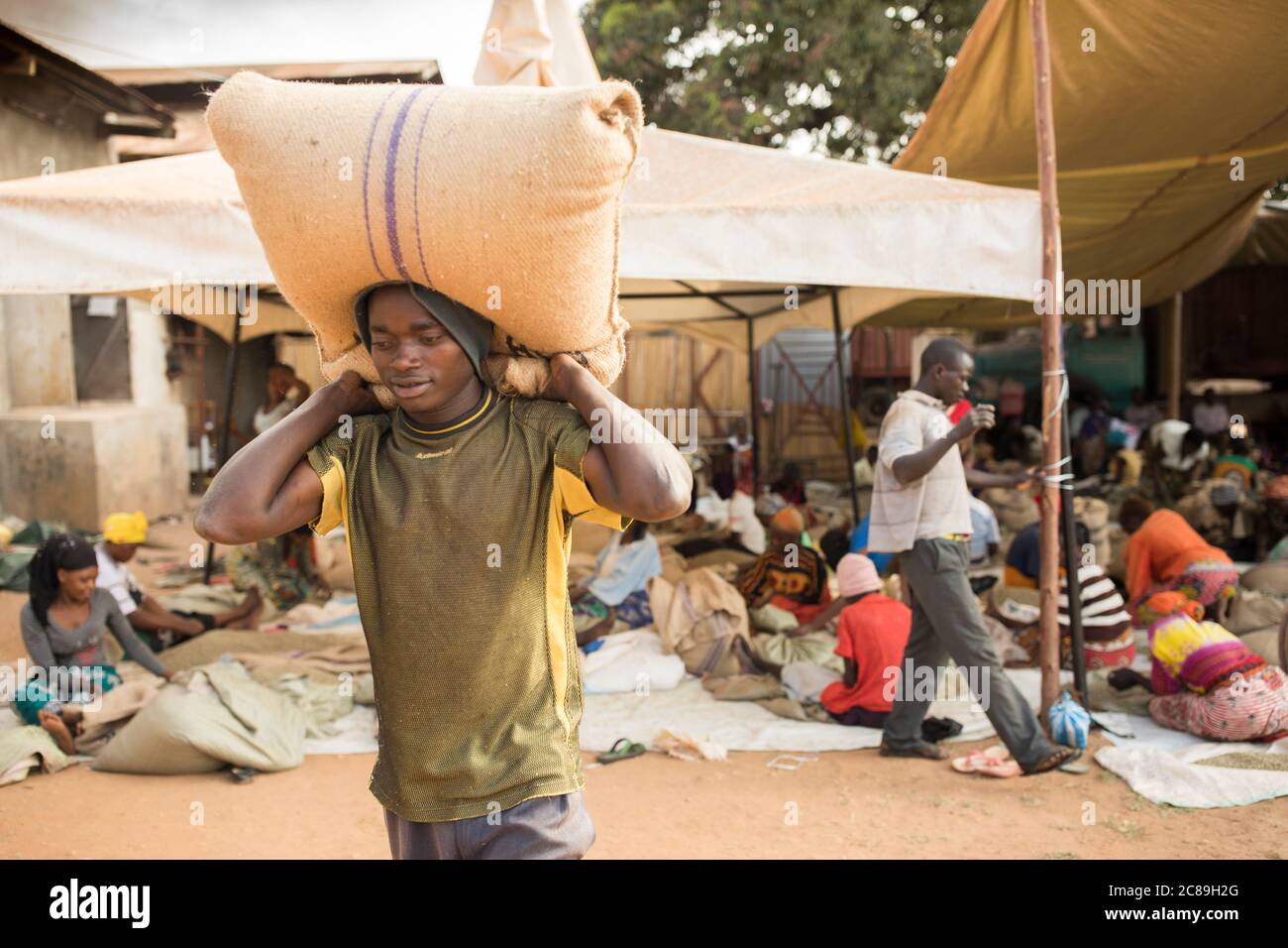 Ein Lagerarbeiter trägt einen schweren Sack getrockneter Kaffeebohnen auf seinen Schultern in einem kooperativen Lager der Kaffeebauern in Mbale, Uganda, Afrika. Stockfoto