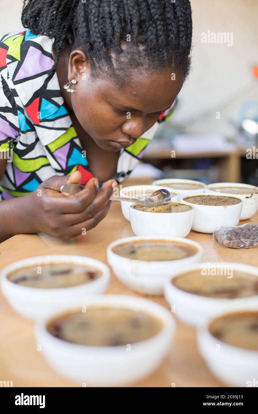 Kaffeeverkostung (Schröpfen) von professionellen Q-Grader Verkostern bei Mountain Harvest Coffee in Mbale, Uganda, Ostafrika. Stockfoto