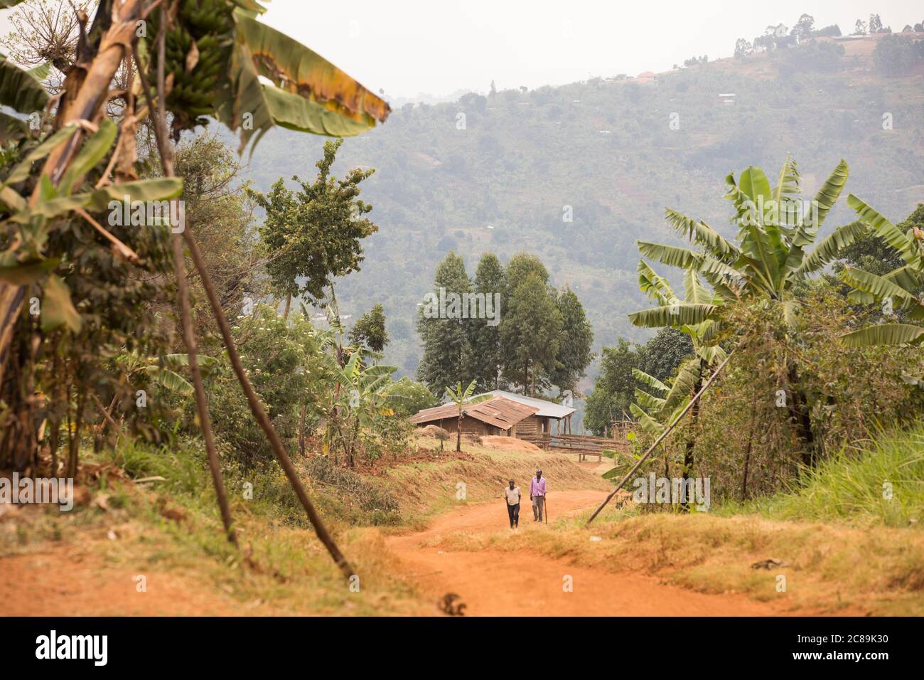 Wunderschöne dramatische Landschaft von Bauerngemeinschaften am Fuße des Mount Elgon, im Osten Ugandas. Stockfoto