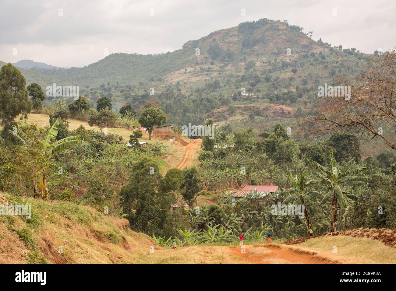 Wunderschöne dramatische Landschaft von Bauerngemeinschaften am Fuße des Mount Elgon, im Osten Ugandas. Stockfoto