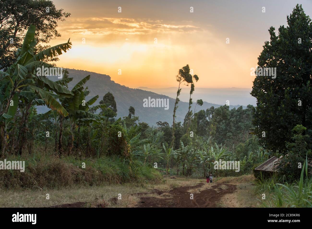 Wunderschöne dramatische Landschaft von Bauerngemeinschaften am Fuße des Mount Elgon, im Osten Ugandas, Afrika. Stockfoto