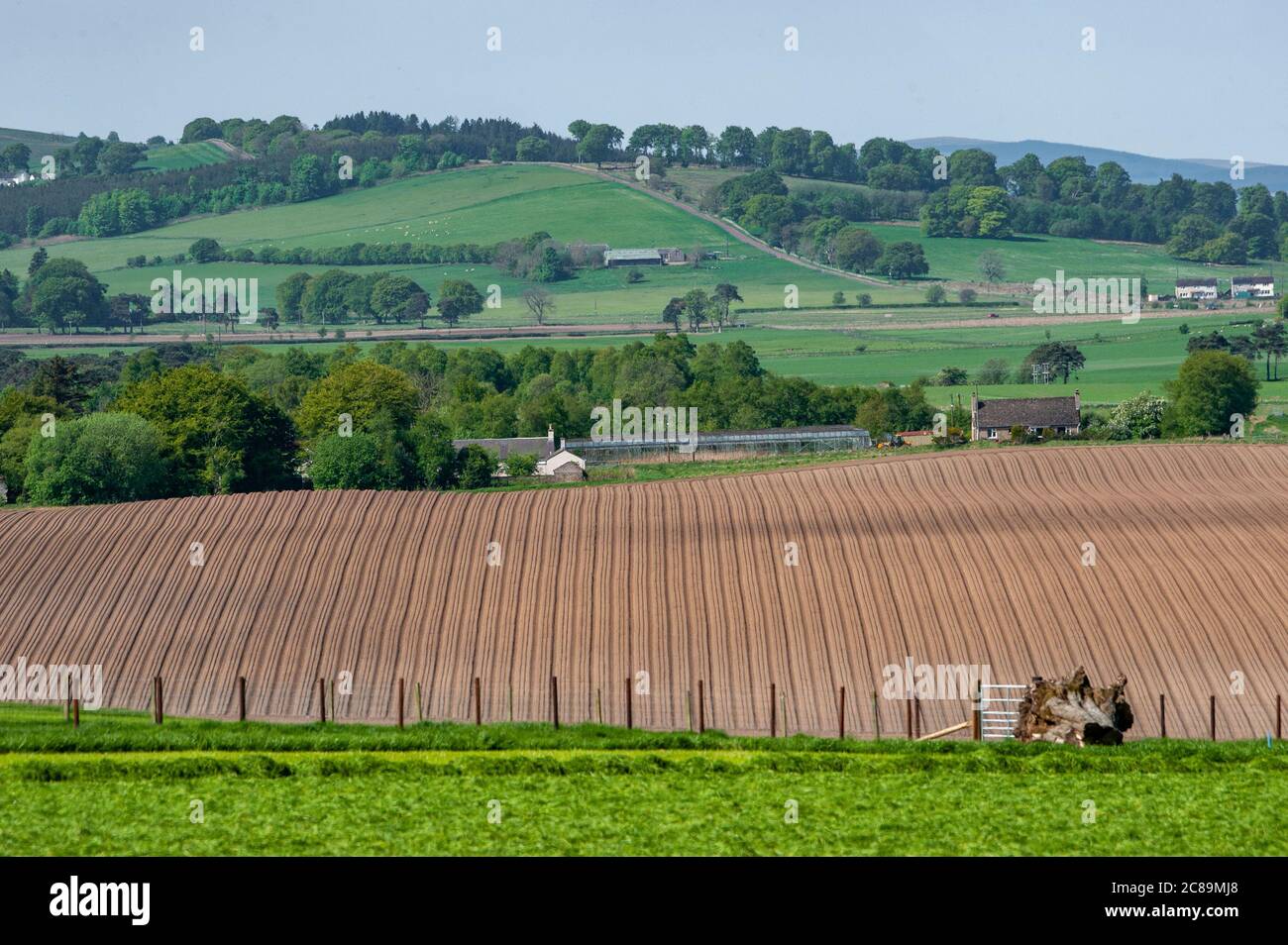 Neu gepflanzte Kartoffelfeld, Scottish Borders. Stockfoto