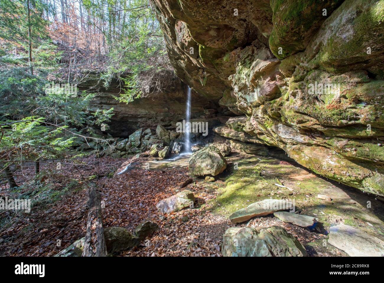 Ein Wasserfall im Hintergrund des Mammoth Cave National Park. Stockfoto