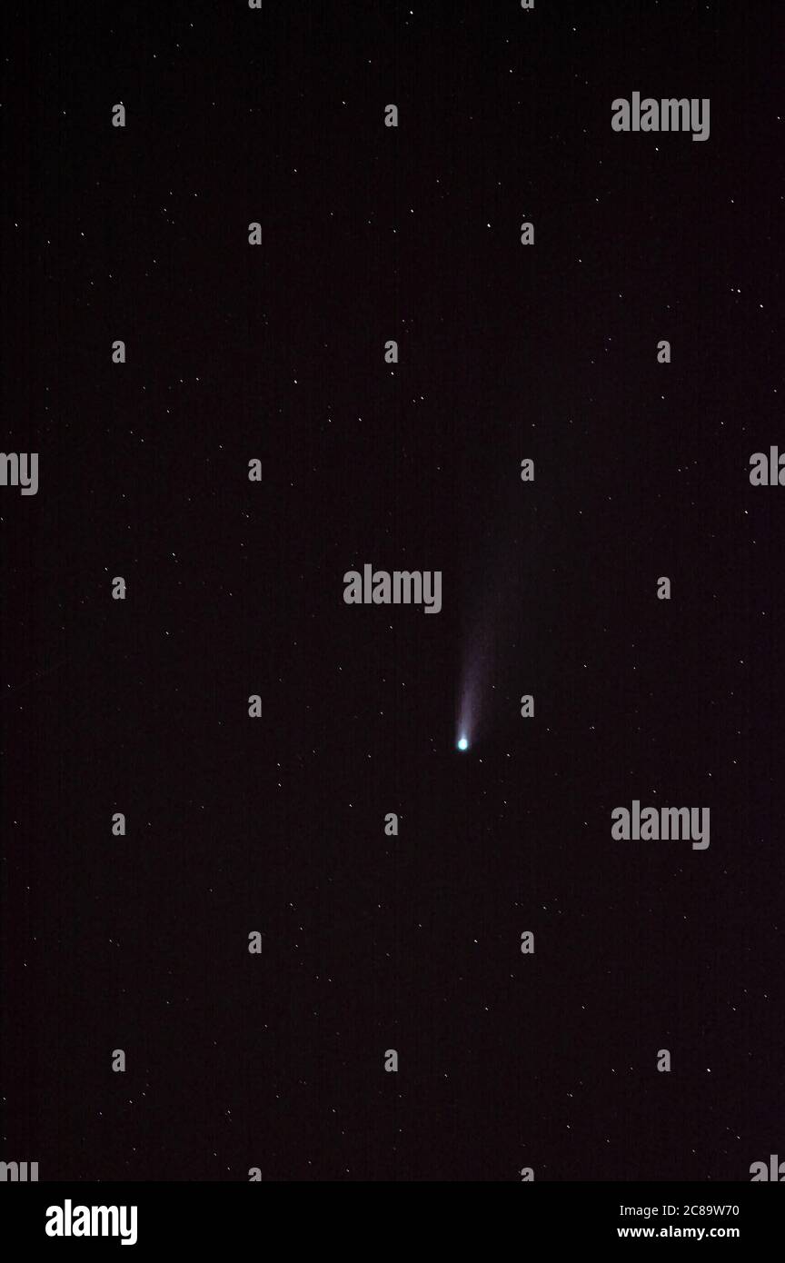 Neowise the Comet among the stars, C/2020 F3 NEOWISE ein retrograder Komet mit einer nahezu parabolischen Umlaufbahn, entdeckt am 27. März 2020 Stockfoto