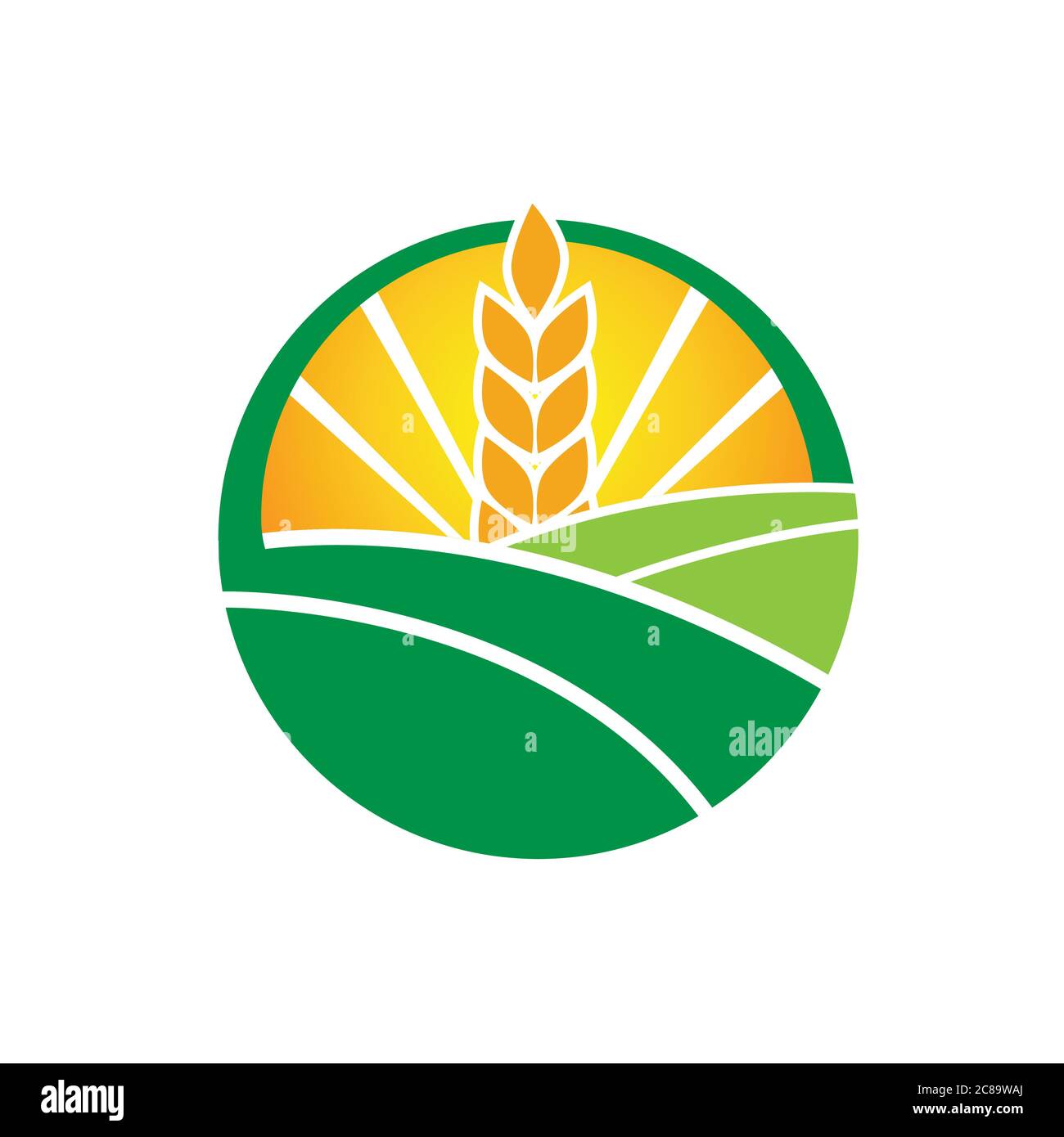 Weizenhof Agrarkultur Bauernhof Design Vektor Landwirtschaft und Landwirtschaft Logo Illustration Stock Vektor