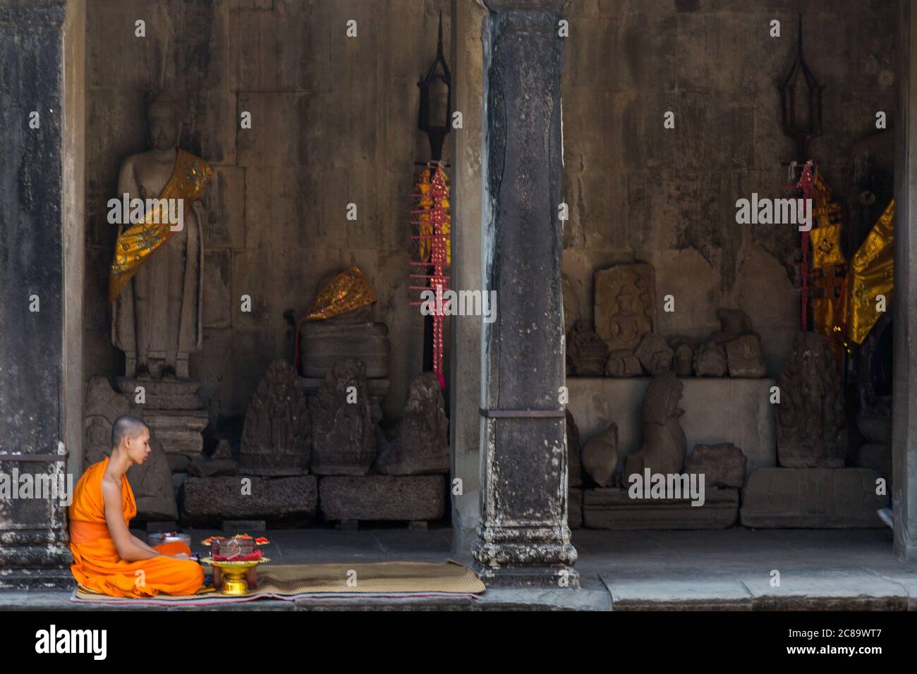 Siem Reap Angkor Wat Kambodscha 8/12/2013 Mönche in orangen Roben in Meditation Stockfoto
