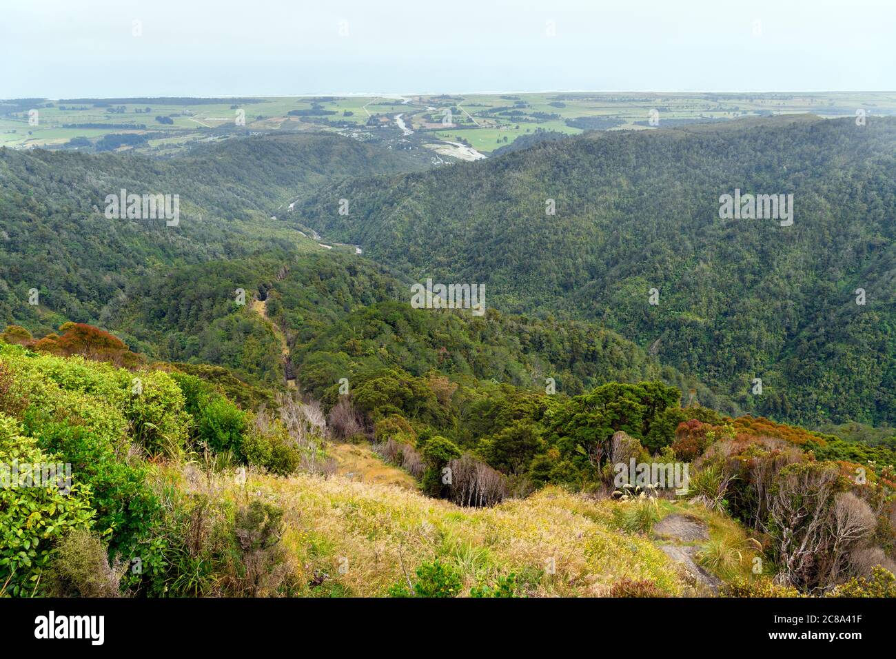 Denniston Incline, Neuseeland. Blick von Denniston auf den Ozean, Westküste, Südinsel, Neuseeland Stockfoto