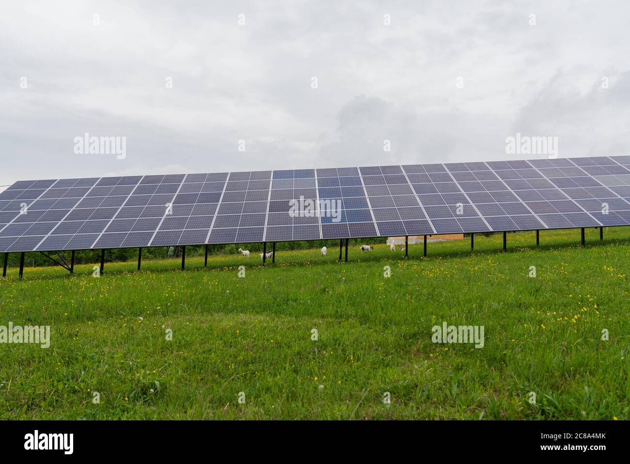 Photovoltaik-Solarmodul auf Himmel Hintergrund, grün sauber alternative Energie-Konzept Stockfoto