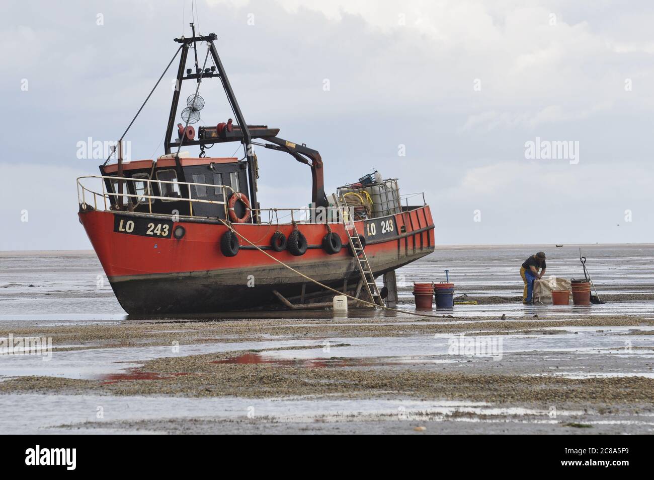 Kommerzielle Fischerboote von Boston und King's Lynn, die in der Wash, einer großen Bucht an der Ostküste Englands, von Hand-Raking Cockles, fahren. Stockfoto