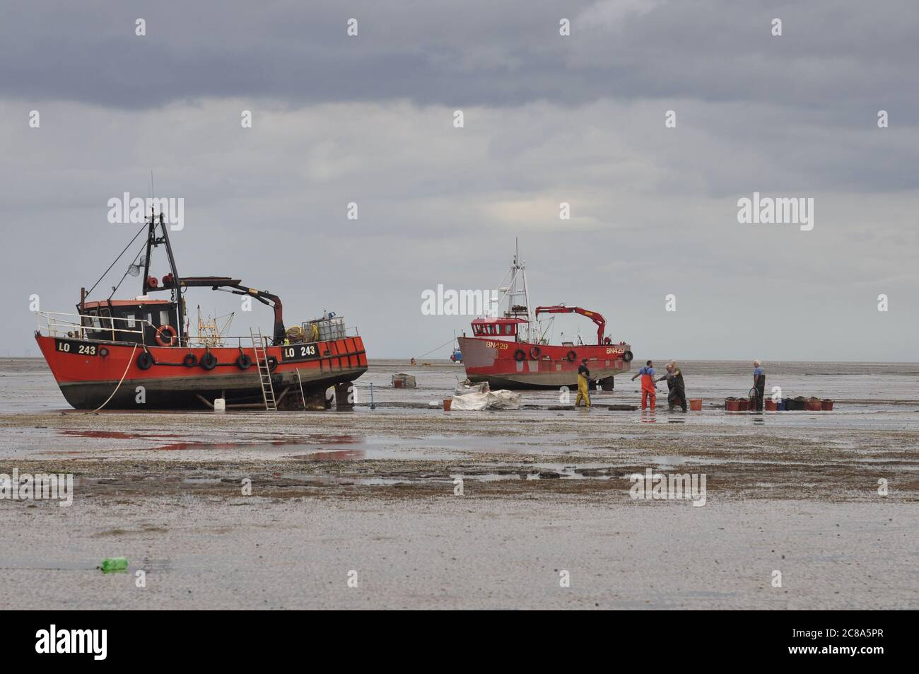 Kommerzielle Fischerboote von Boston und King's Lynn, die in der Wash, einer großen Bucht an der Ostküste Englands, von Hand-Raking Cockles, fahren. Stockfoto