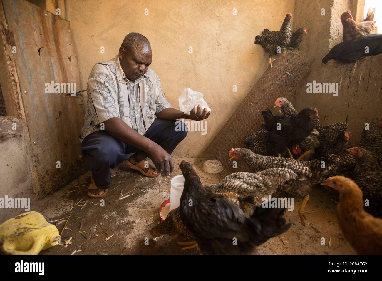 Geflügelviehhalter in seinem Hühnerstall im Makueni County, Kenia, Ostafrika. Stockfoto