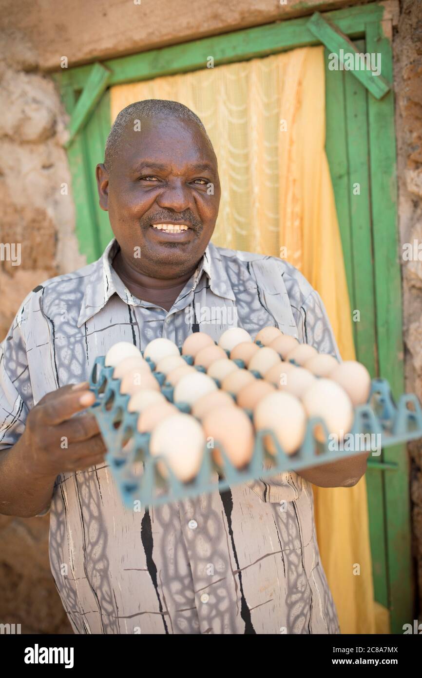 Ein kleiner Bauer hält auf seiner Hühnerfarm im Makueni County, Kenia, Ostafrika, ein Tablett mit Eiern. Stockfoto