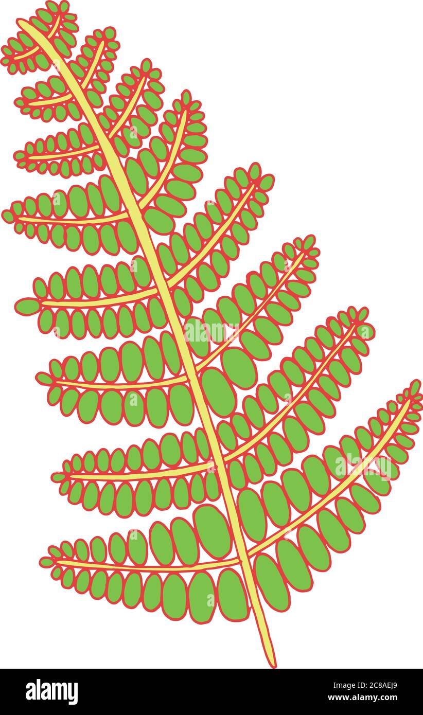 Farn Pflanze im Wald Frbung Seite fr Erwachsene. Vektor Grafik fr  Malbuch ber Natur, Blumen, florale Elemente Stock-Vektorgrafik - Alamy