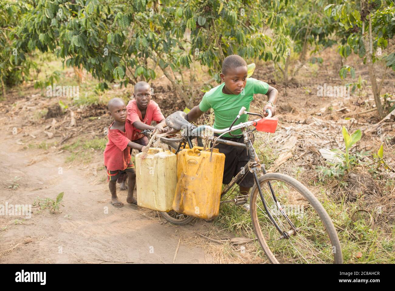 Kinder nutzen ein Fahrrad, um Wasser in einem ländlichen Dorf im Rakai District, Uganda, Ostafrika zu holen und zu transportieren. Stockfoto