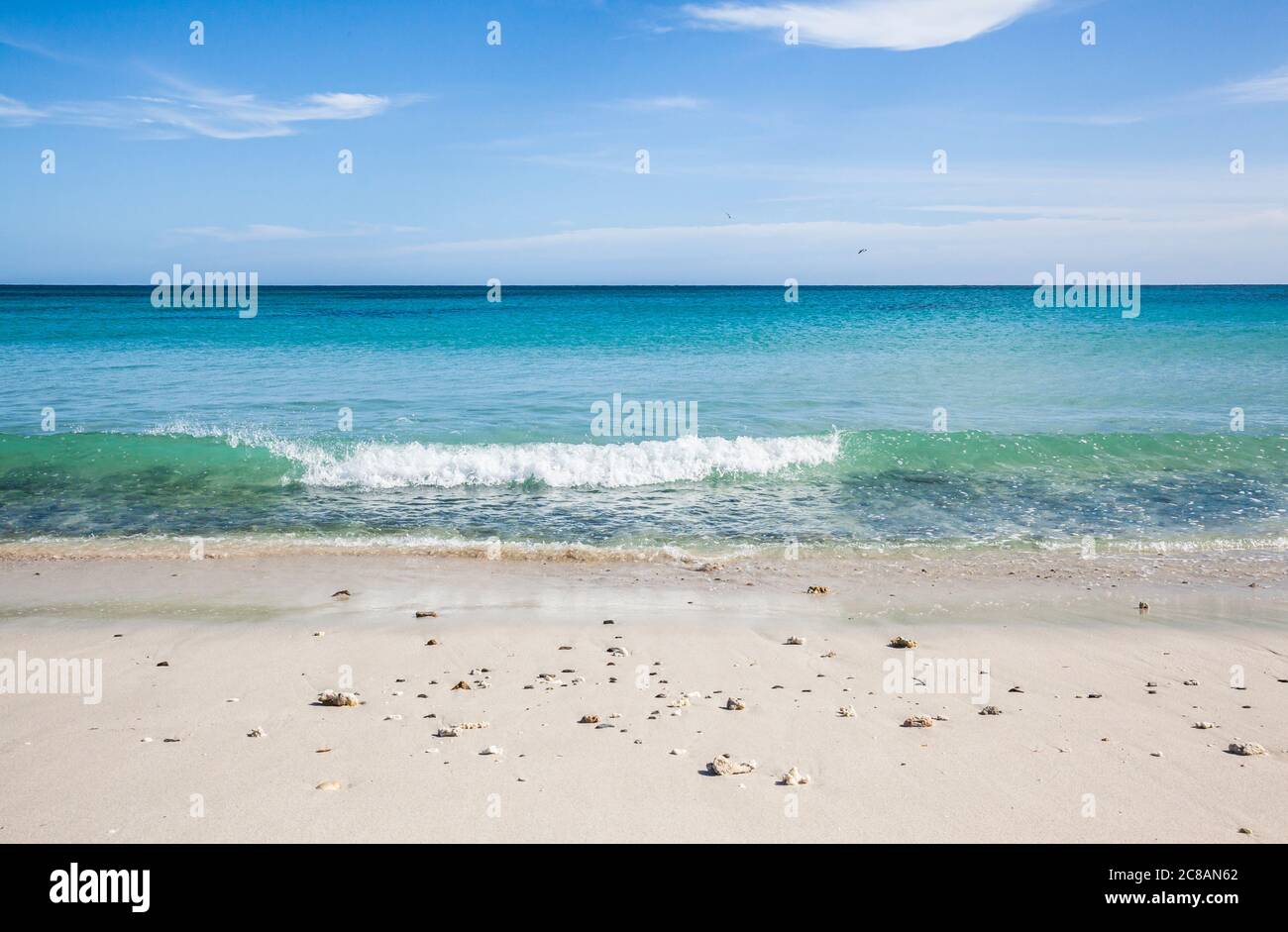 Der Golf von Kalifornien im Grand Sueno Resort als eine Welle bricht auf dem weißen Sandstrand, BCS, Mexiko. Stockfoto