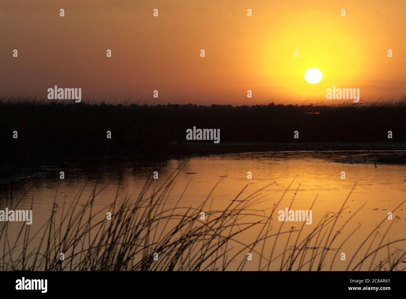 Sanftes rotes Leuchten des Sonnenaufgangs erleuchtet das Sacramento National Wildlife Refuge in Kalifornien Stockfoto