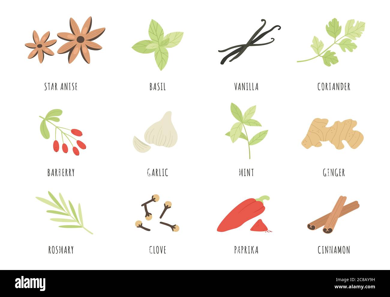 Gewürze. Handgezeichnete Kräuter und Gewürze Sternanis, Basilikum und Ingwer, Knoblauch. Zimt, Vanille und Paprika, Minze und Rosmarin, Nelken-Vektor-Set. Aromatisch Stock Vektor