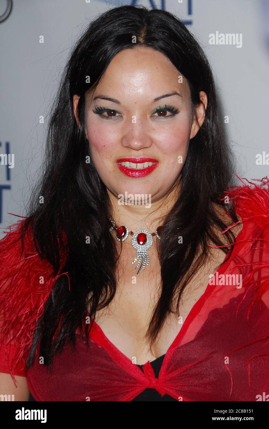 Anna Biller von 'Viva' beim AFI FEST 2007 präsentiert eine Vorführung von 'Noise', die im Dachdorf des AFI Fest der Arclight Cinemas in Hollywood, CA, stattfindet. Die Veranstaltung fand am Dienstag, 6. November 2007 statt. Foto von: SBM / PictureLux - Dateireferenz # 34006-9951SBMPLX Stockfoto