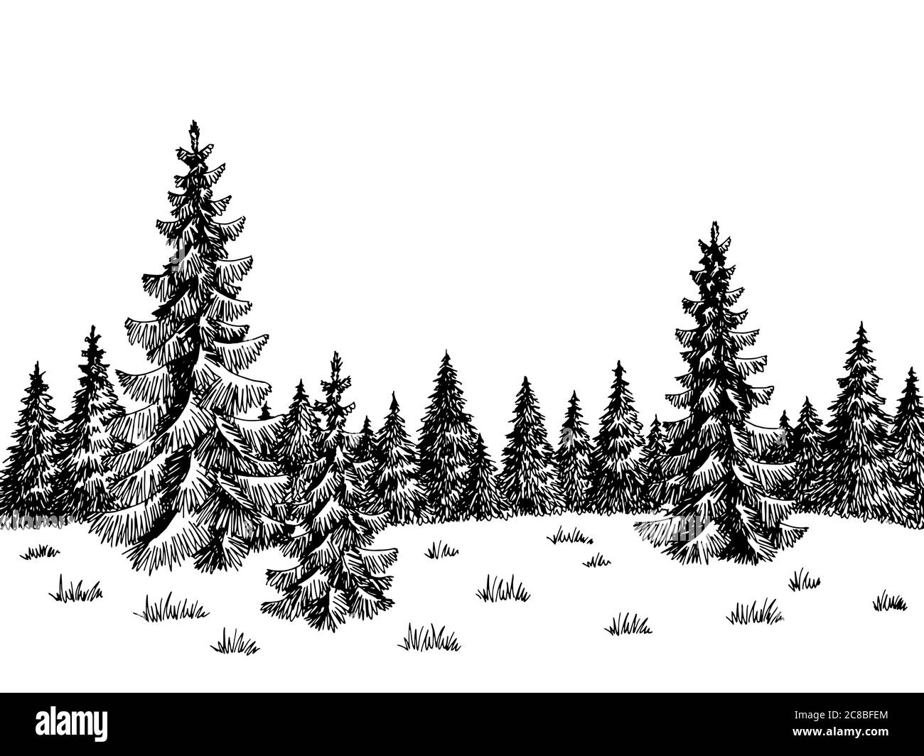 FIR Wald Grafik schwarz weiß Landschaft Skizze Illustration Vektor Stock Vektor