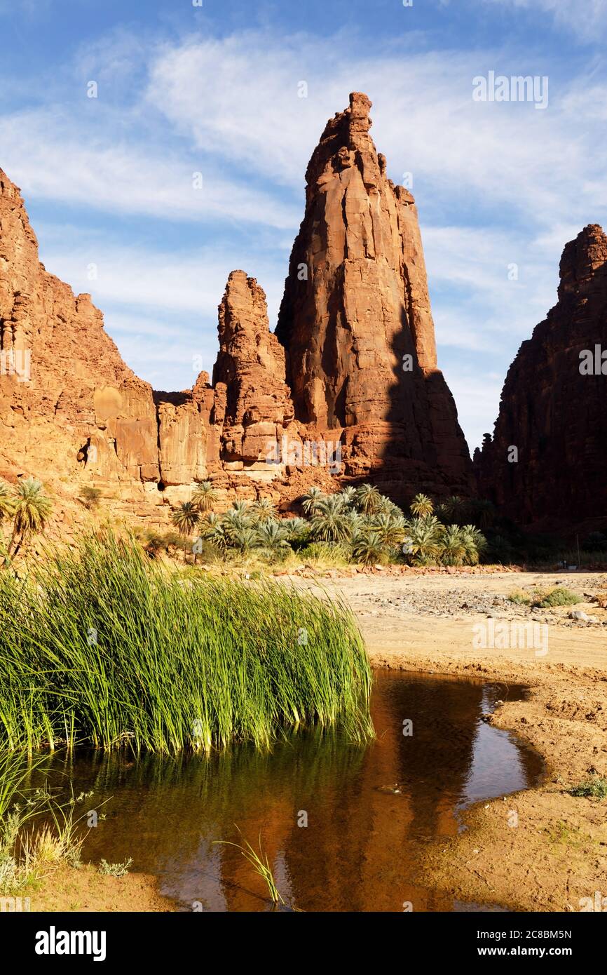 Wadi Disah, auch bekannt als Wadi Qaraqir, ist eine 15 Kilometer lange Schlucht, die durch den Jebel Qaraqir, ein Sandsteinmassiv, das etwa 80 Kilometer liegt, führt Stockfoto